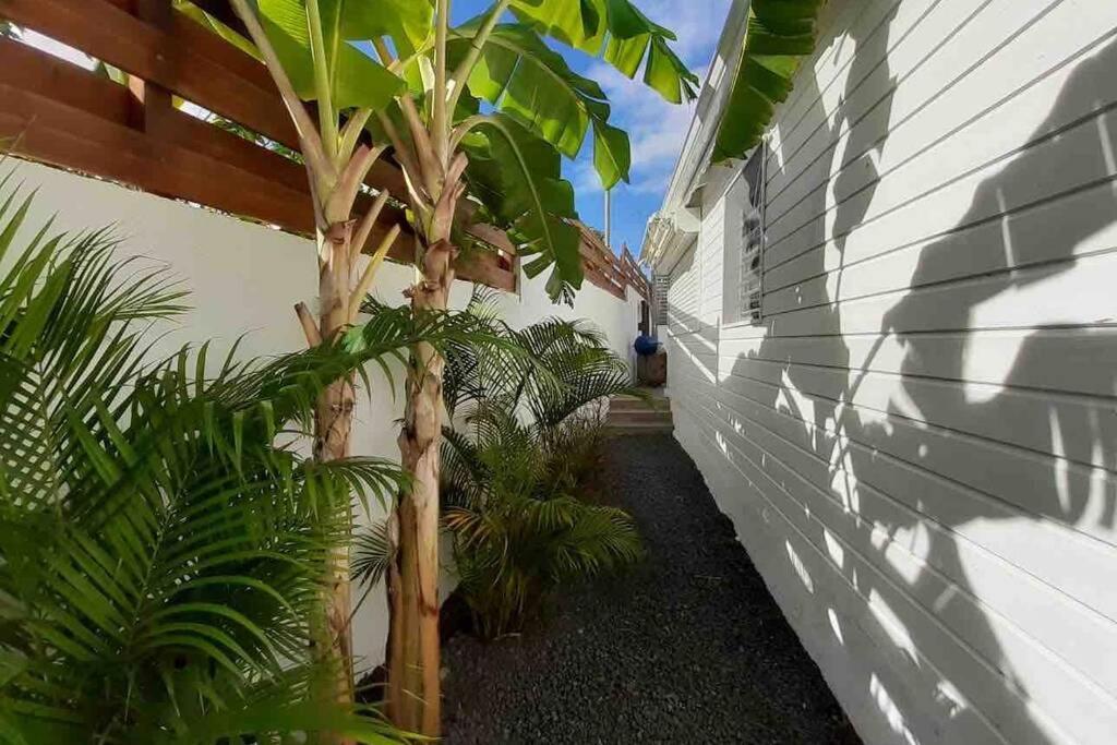 KS VILLA la coulée 4 étoiles Saint-Francois  Exterior foto